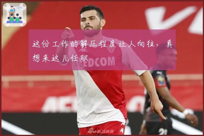 这份工作的解压程度让人向往，真想来这儿任职