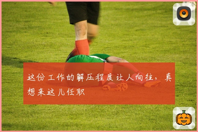 这份工作的解压程度让人向往，真想来这儿任职